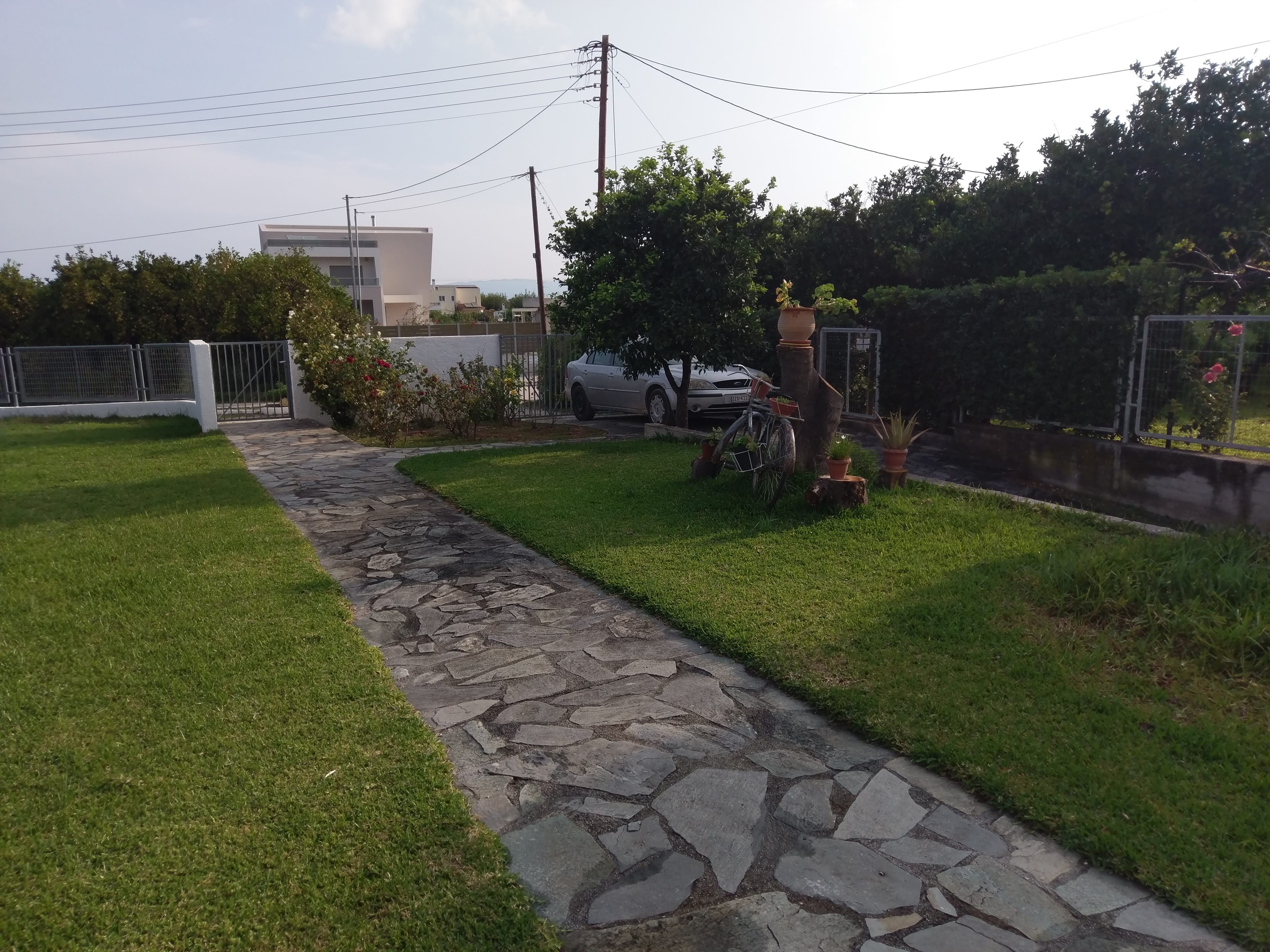 A view of plot entry