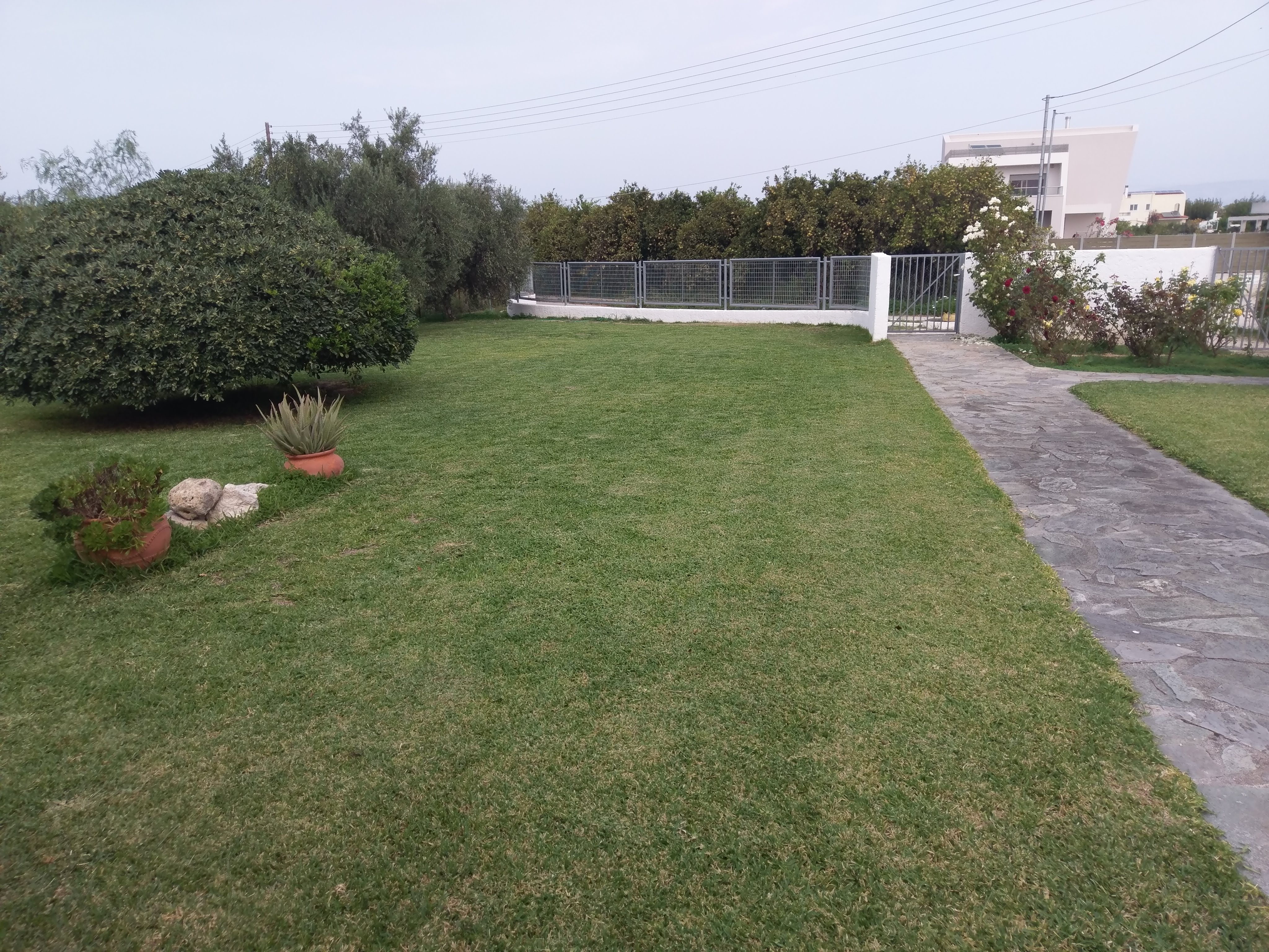 A view of plot entry 2