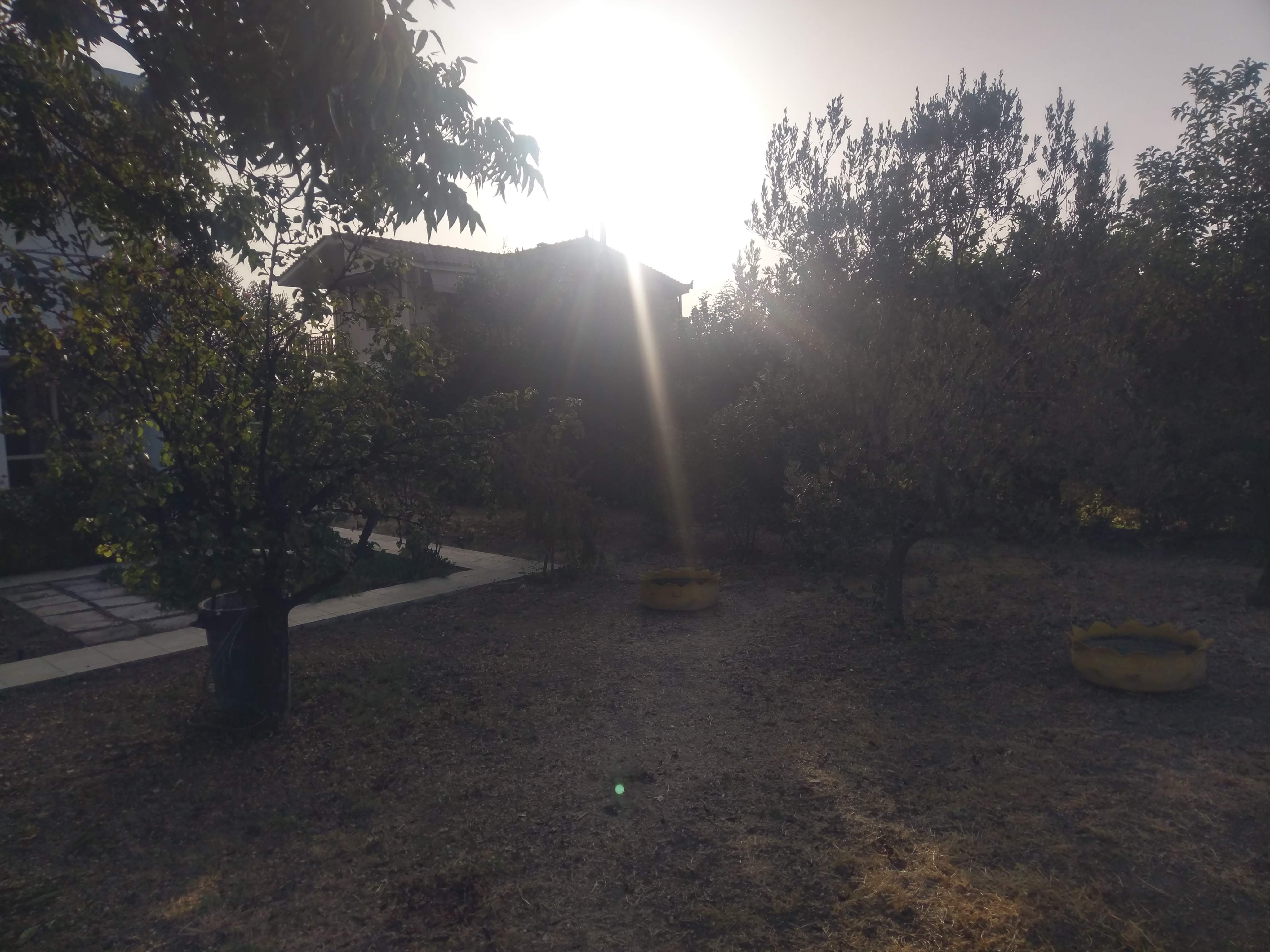 IMAG1319