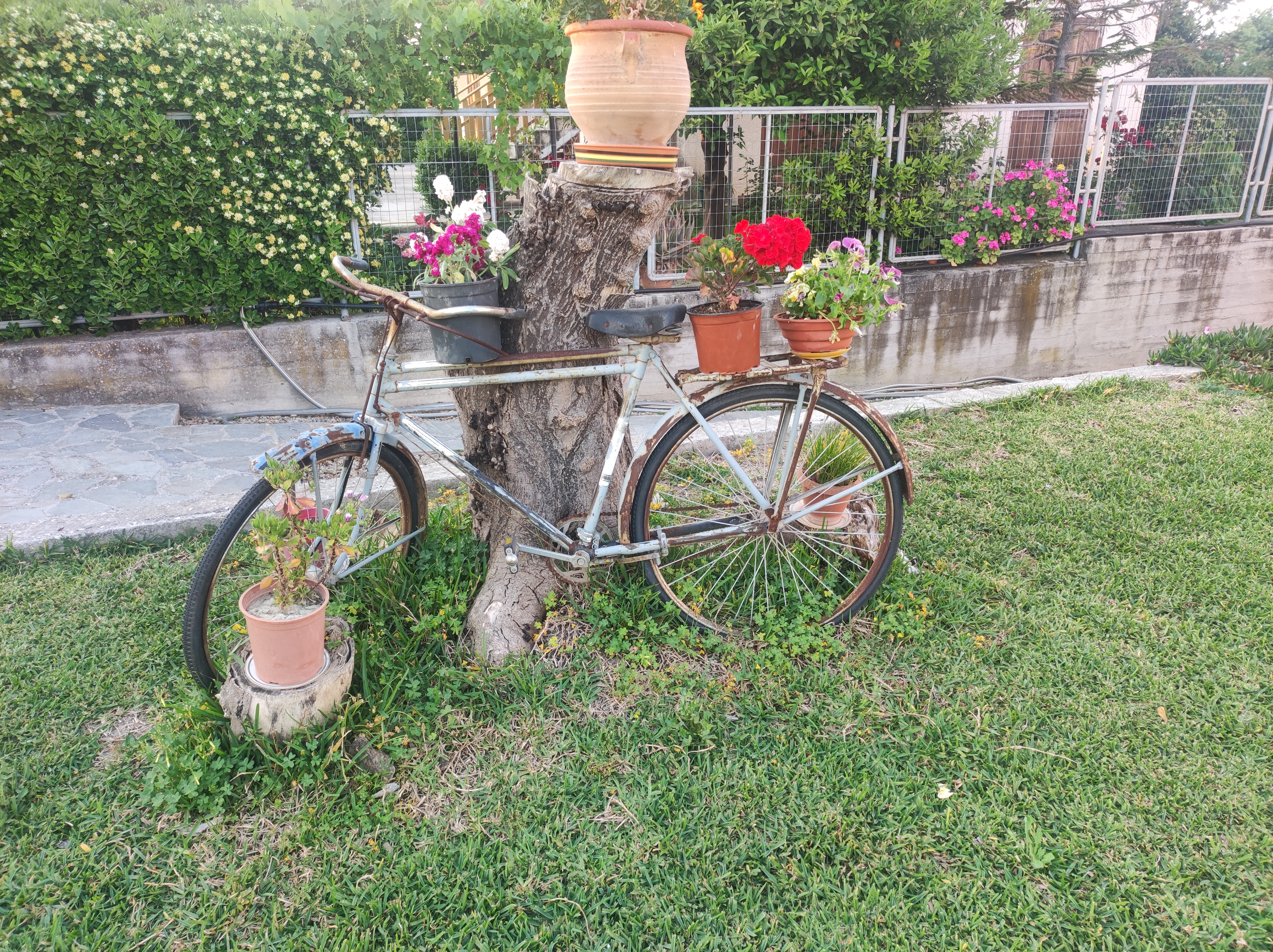 Old bicycle