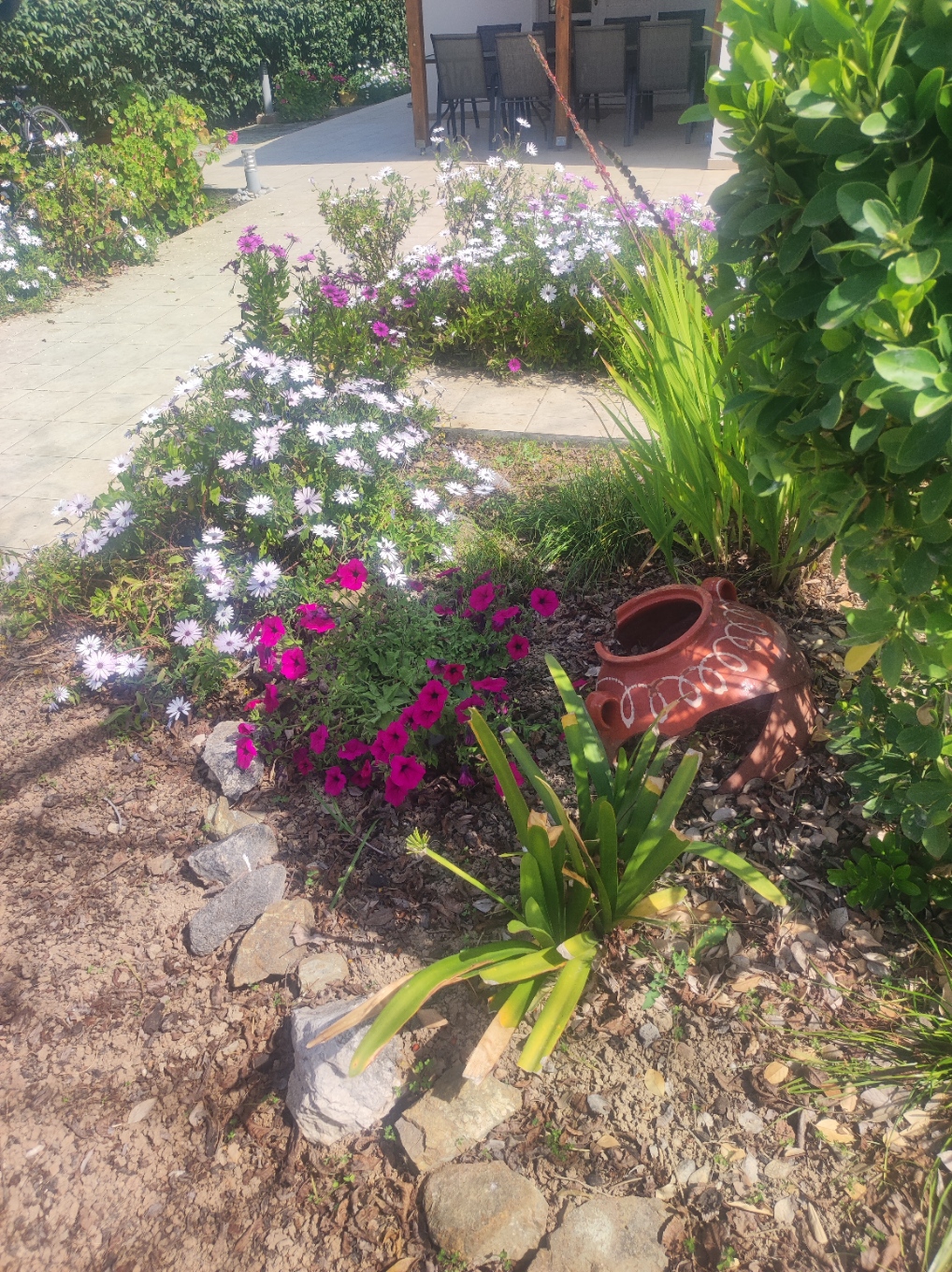 garden view 3