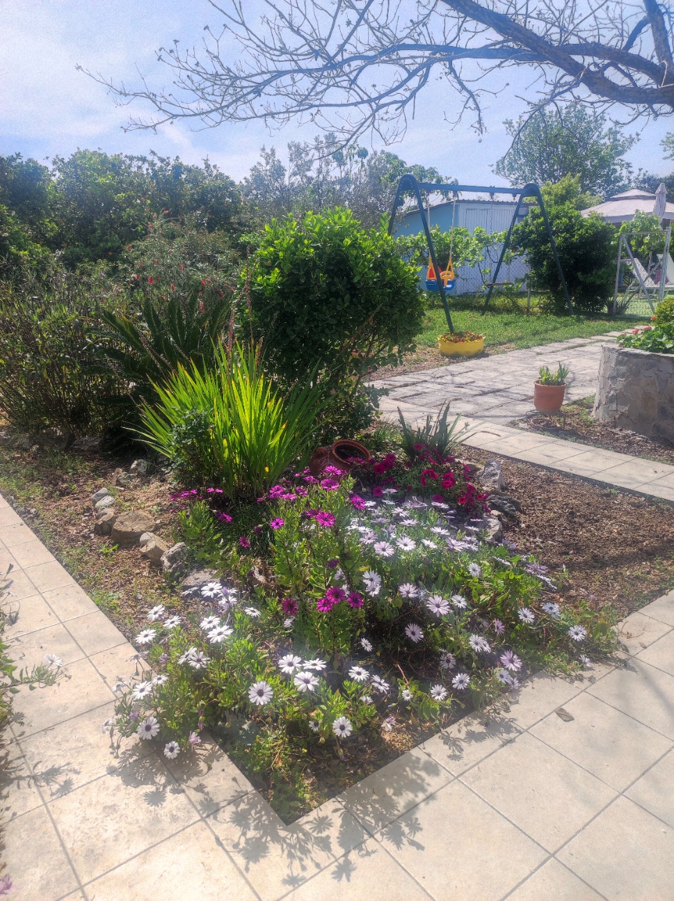 garden view 5