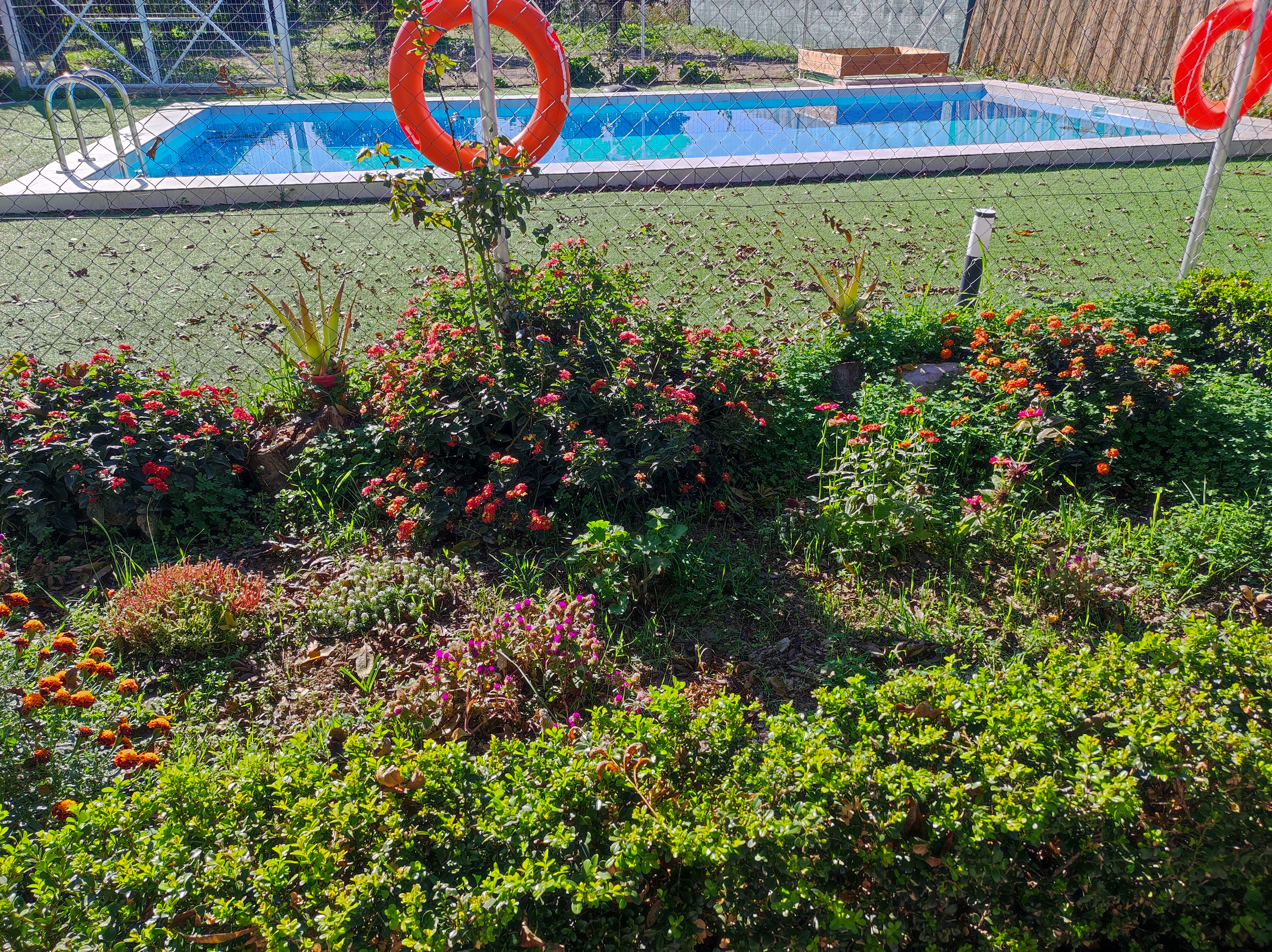 pool 1